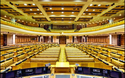 Parliamentary Chamber: National Assembly